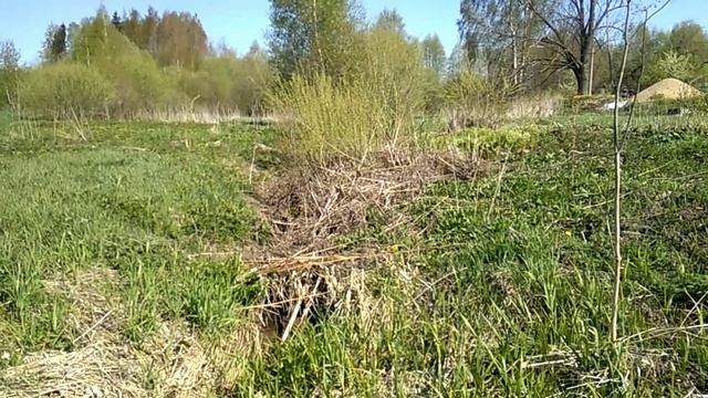 Тема женская, томатная...10 мая 2023 смотреть онлайн