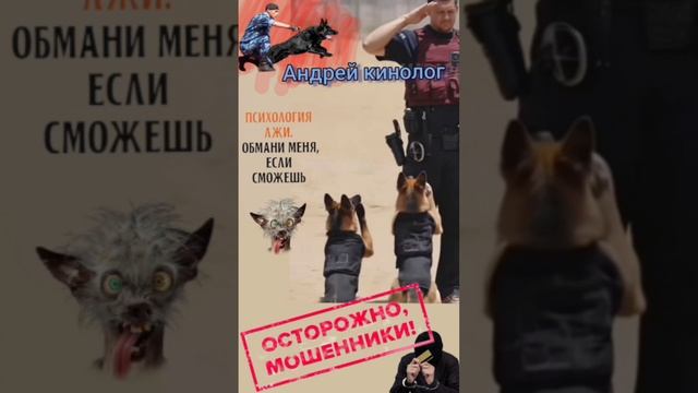 Тролим мошню !