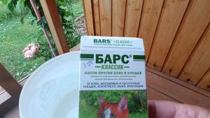 Начинаю проводить обработку картофеля от колорадского жука