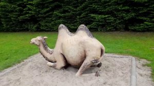 Краков 13.06.2025 выставка Деревни мира Villages of the world