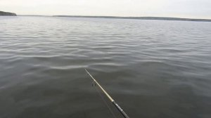 Рыбалка на Белоярке. Апрельские судаки.