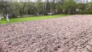 Активная фреза на мотоблок Нева мб2