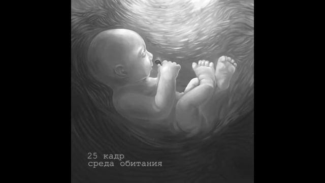 25 кадр — Звезда рок-н-ролла смотреть онлайн