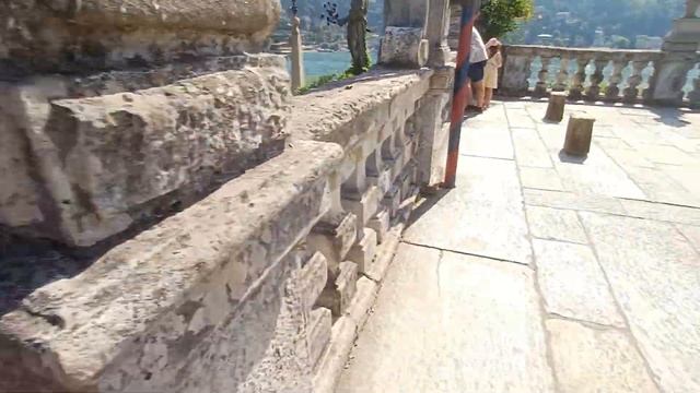 Удивительное превращение дерева в каменный стул с "ве? смотреть онлайн