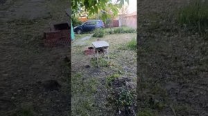 1000025894.mp4
