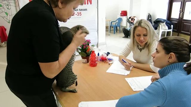 Экспертиза. Инна Клик "Лучший судья сезона 2010-11" (AB МФА, смотреть онлайн