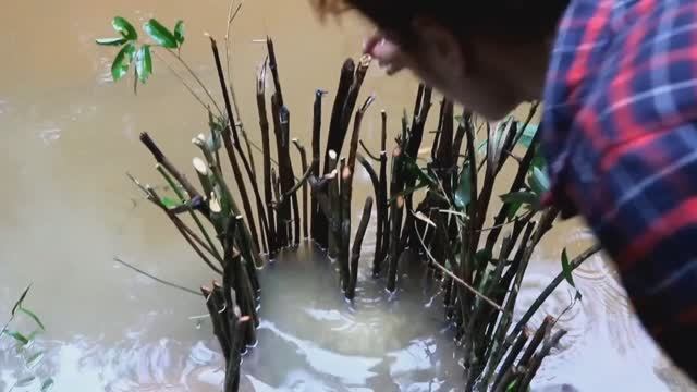 Уловистая Древнейшая ловушка для рыбы из прутьев или камней Женская рыбалка