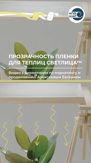 Как прозрачность плёнки СВЕТЛИЦА™ влияет на растения? 🌱