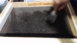 Просеивание торфа с помощью шпателя.