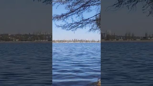 Водохранилище, мопра, россети, парк смотреть онлайн