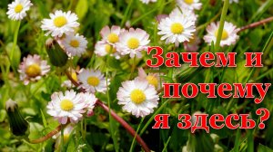 Зачем и почему я здесь