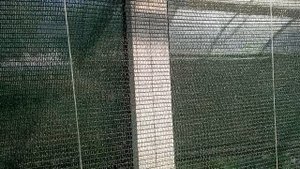 приехала на дачу, собрала огурцы, помидоры начали завязываться/огород/огурцы/томаты