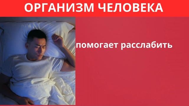 ИСПОЛЬЗУЙТЕ КАСТОРОВОЕ МАСЛО ПЕРЕД СНОМ –  ЧТО ПРОИСХ