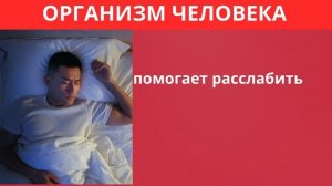 ИСПОЛЬЗУЙТЕ КАСТОРОВОЕ МАСЛО ПЕРЕД СНОМ – ЧТО ПРОИСХ