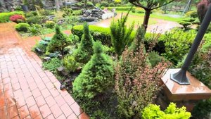 ЕЛЬ “FROHBURG” ЗАБОЛЕЛА 🆘 ЛОЖНОЩИТОВКА! КАК С НЕЙ БОРОТЬ