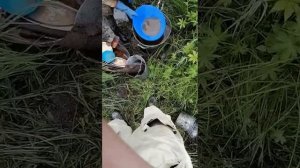 буровые работы на золото