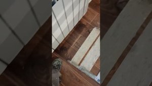 клеили ламинат со сломанными замками. да клея видать м