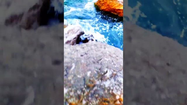 2202206828748769 мой номер карты Кому не жалко на развитие кан смотреть онлайн