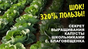 Суперурожай своими руками! Школьники села Благовещенка раскрывают секреты экобиотехнологии.