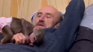 Друзья, мы помните какая Люська была маленькая и ШКОДНАЯ