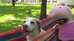 Dogs Battle Evil Peppa Pig Zombie!