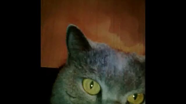 Корка!!!( хлеба на столе... ) смотреть онлайн