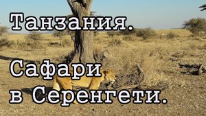 Танзания. Сафари в Серенгети. Тур  "5 ночей"