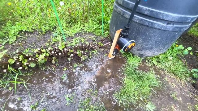 Система автополива грядок.Проверка работоспособност? смотреть онлайн