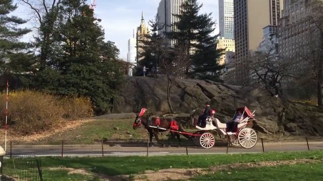 Централ парк Нью-Йорк