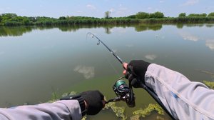 Как ловить летнего карася на фидер? Рыбалка для начинающих в Красносельском!