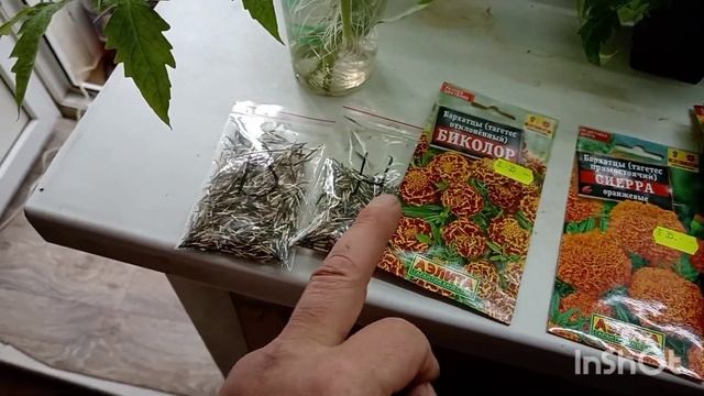 Сезон 25'г. Конец апреля!, обзор рассады!, что ещё посеял смотреть онлайн