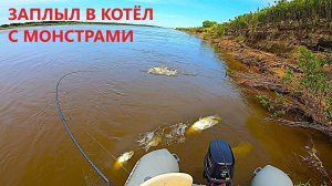 ЗАПЛЫЛ В КОТЕЛ С МОНСТРАМИ. ХИЩНИКИ АТАКУЮТ