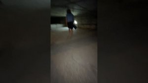 Госжилинспекция на чердаке