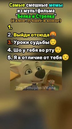 Белка и Стрелка мемы. Топ 5 смешных моментов. @Тимофеевка #енотки #фиксики