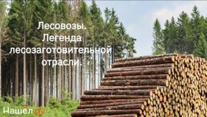 Лесовозы. Легенда лесозаготовительной отрасли.