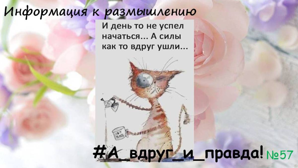 Нет сил, нет времени, всё надоело...