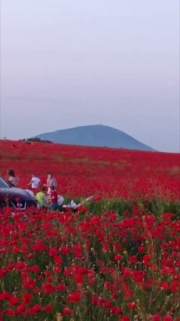 Красота.