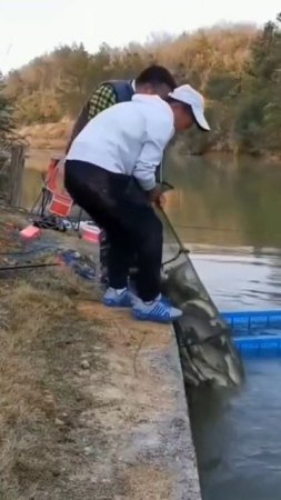 1000159805.mp4