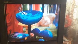 (Новые Заставки Без Логотипа) (Во Время Рекламы Телека?