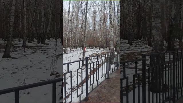 ПОГОДА В ДОМЕ. ОЛЬГА ЧАГОЧКИНА