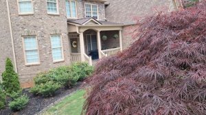 Парадный( главный) Вход в Дом- Палисадник с неприхотли?