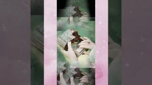 "Тюльпаны" на стихи Андрея Z "доцент"