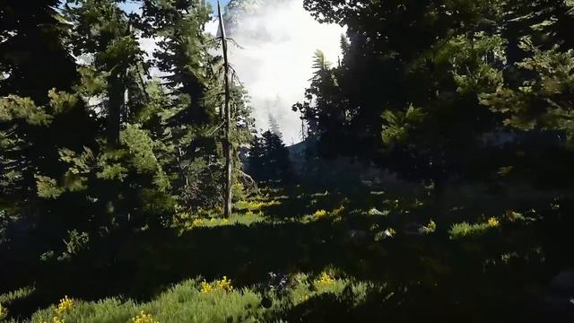 Ведьмак 3 — Каэр Морхен — атмосфера и расслабляющая музыка 🎮🌲 [Музыка без рекламы] смотреть онлайн