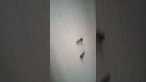 Как вскрыть принтер Epson L1110 Series