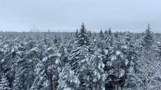 Imeline talv linnulennult | Сказочная зима с высоты птичьего полет смотреть онлайн