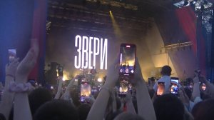 В День России в Самаре выступила группа "Звери"
