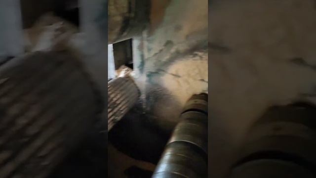 Многопильный станок Lignuma WP- 500 смотреть онлайн