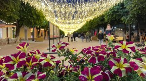 Смоленск 2025