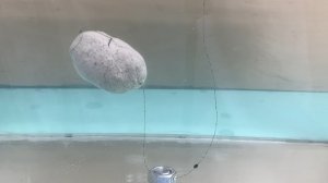 Три замечательных рыболовных снастей зделаных своими руками, которые может вам понравится! 🦈🐋