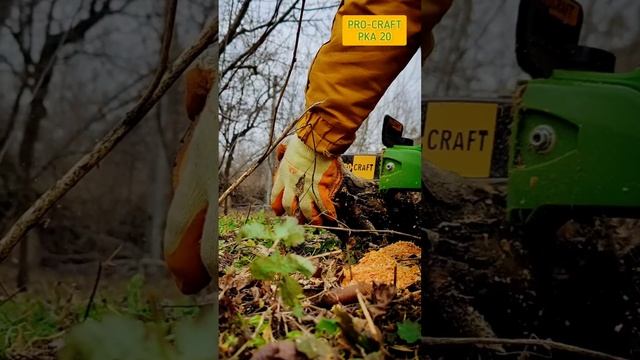 Невеличкий огляд ручної акумуляторної пилки Pro-Craft PKA20